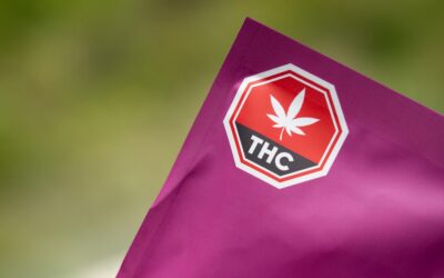 High-Potency THC: Why Today’s Cannabis Is More Addictive Than Ever