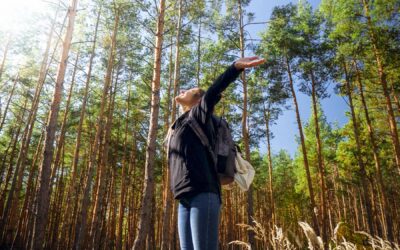 Shinrin-Yoku: The Japanese Practice of Forest Bathing and Its Role in Addiction Treatment